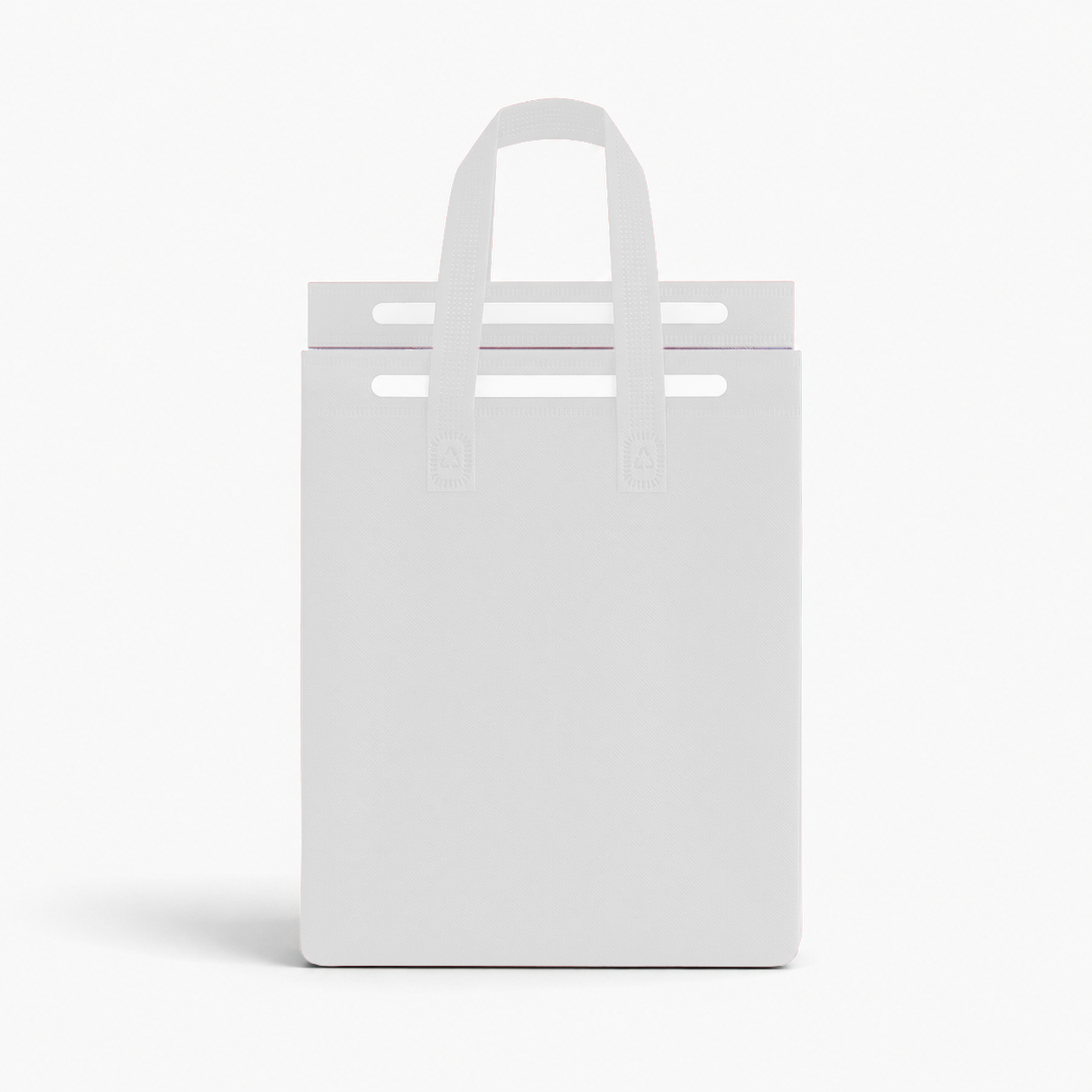 5L Insulated Reusable Bag