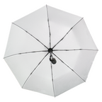 The Poppins Umbrella