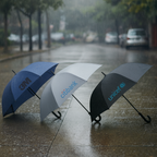 The Corporate Umbrella