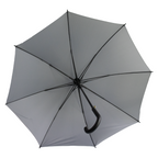 The Corporate Umbrella