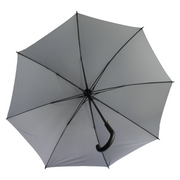 The Corporate Umbrella