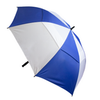 The Stormy Umbrella