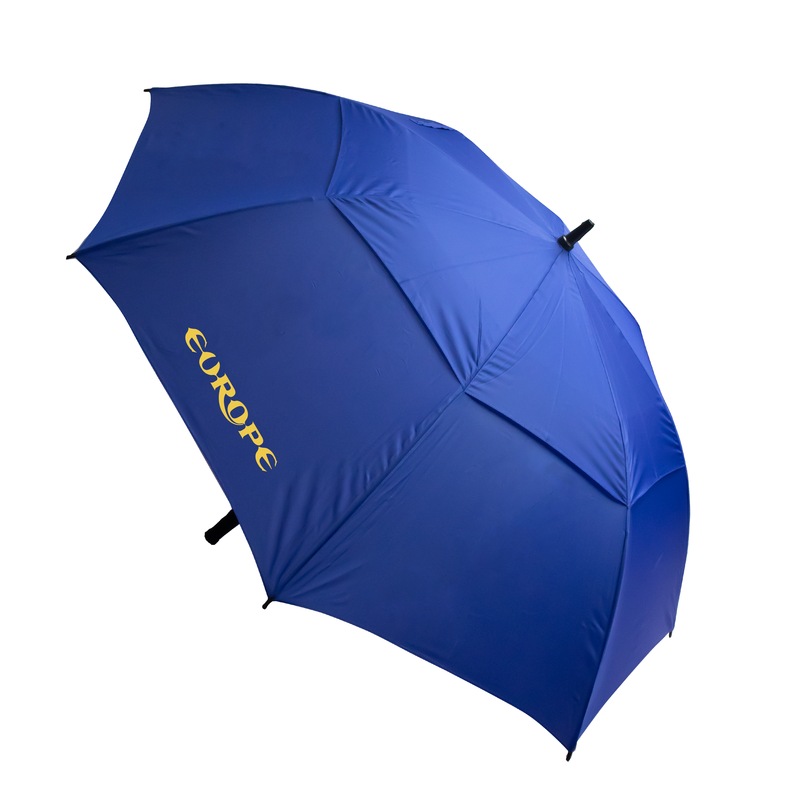 The Stormy Umbrella