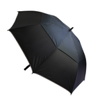 The Stormy Umbrella