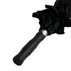 The Stormy Umbrella
