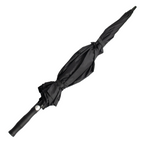 The Stormy Umbrella
