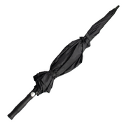 The Stormy Umbrella