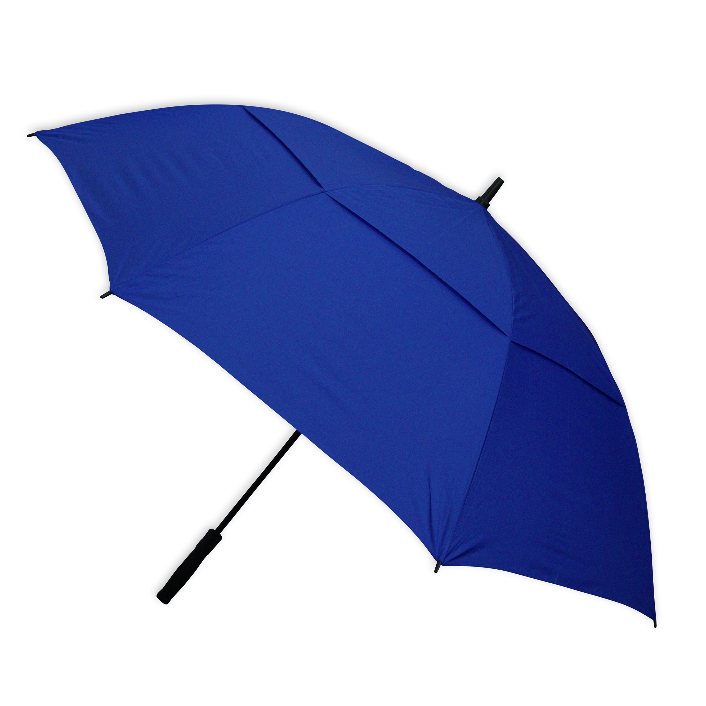 The Stormy Umbrella