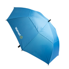 The Stormy Umbrella