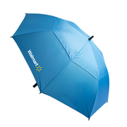 The Stormy Umbrella