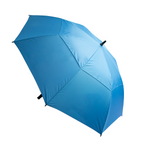 The Stormy Umbrella