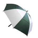 The Stormy Umbrella