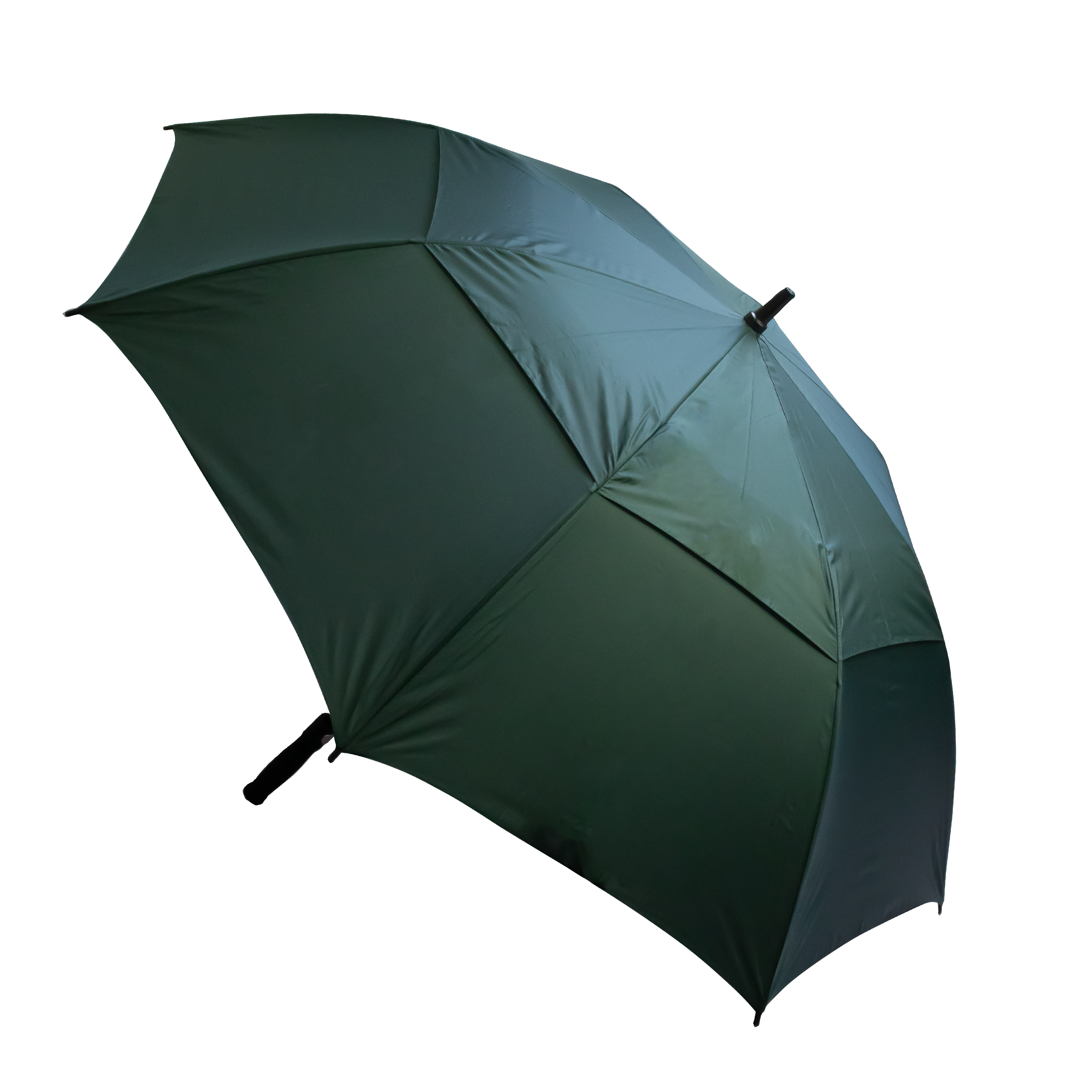 The Stormy Umbrella