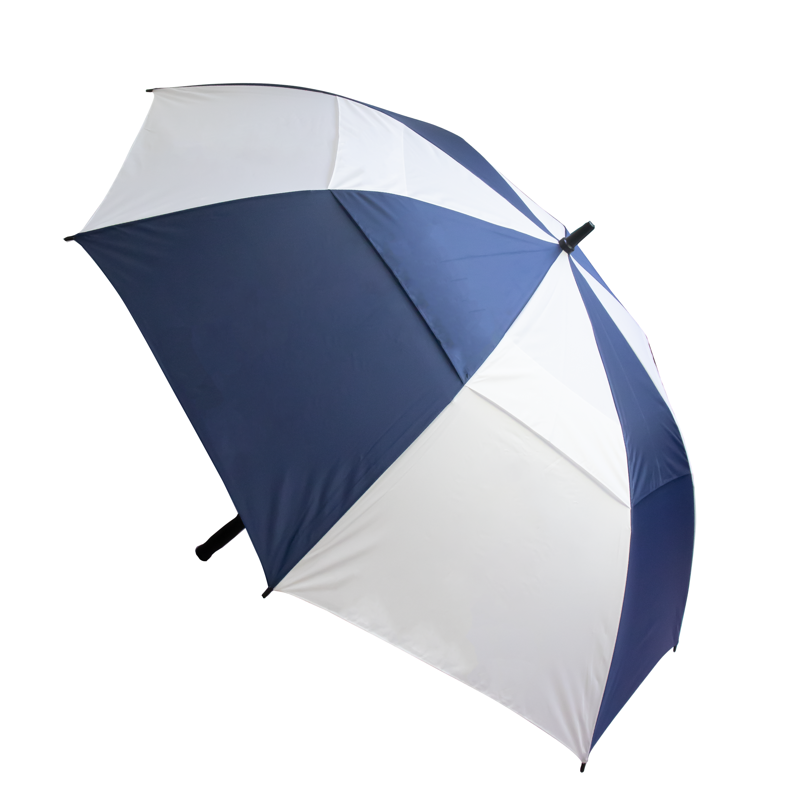 The Stormy Umbrella