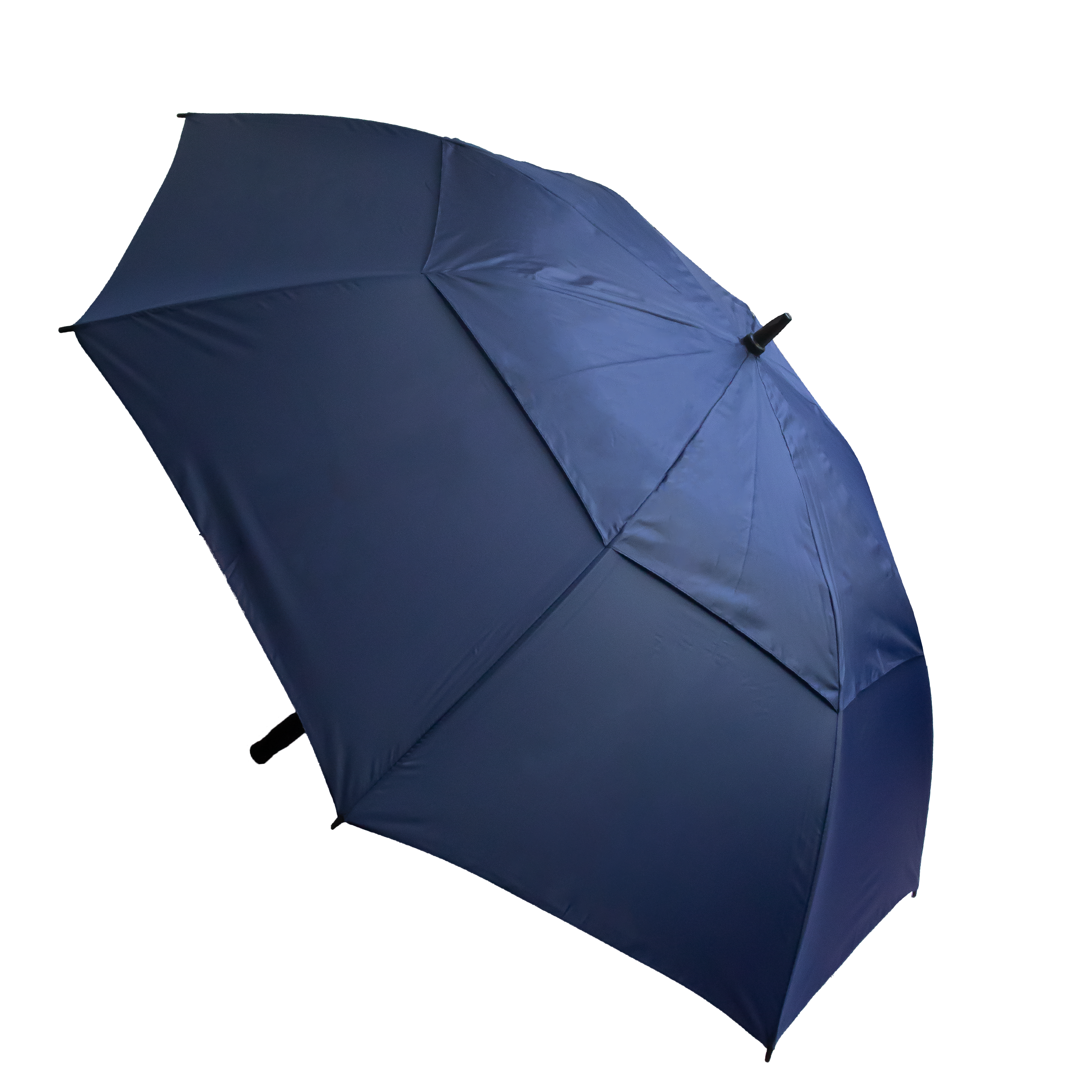 The Stormy Umbrella