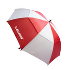 The Stormy Umbrella