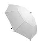 The Stormy Umbrella