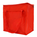 Insulated Cooler Bag