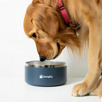 Tucker Pet Bowl