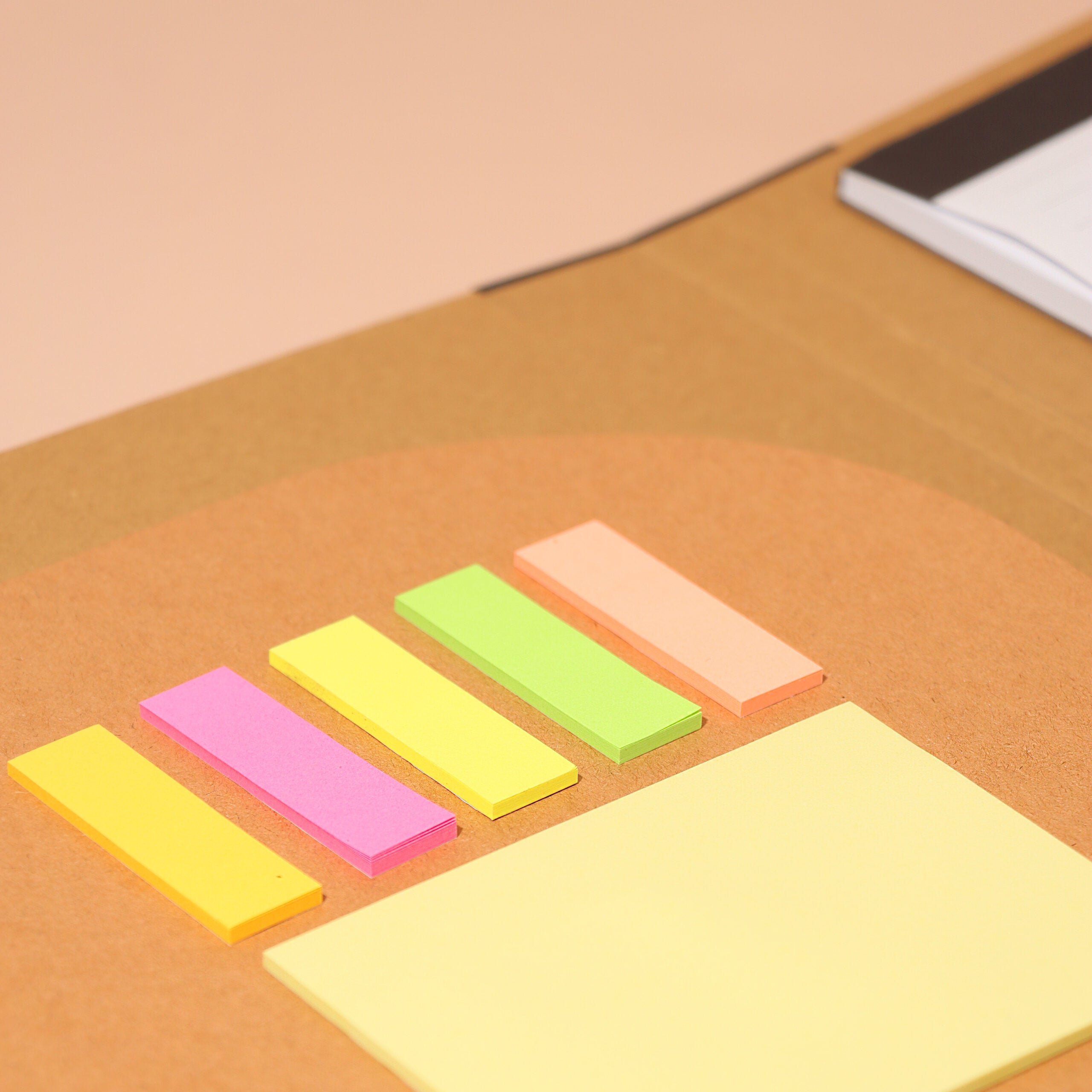 Chu Chu Padfolio