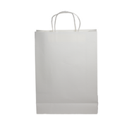Paper Show Bag