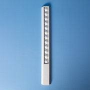 30cm Popper Ruler