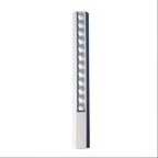 30cm Popper Ruler