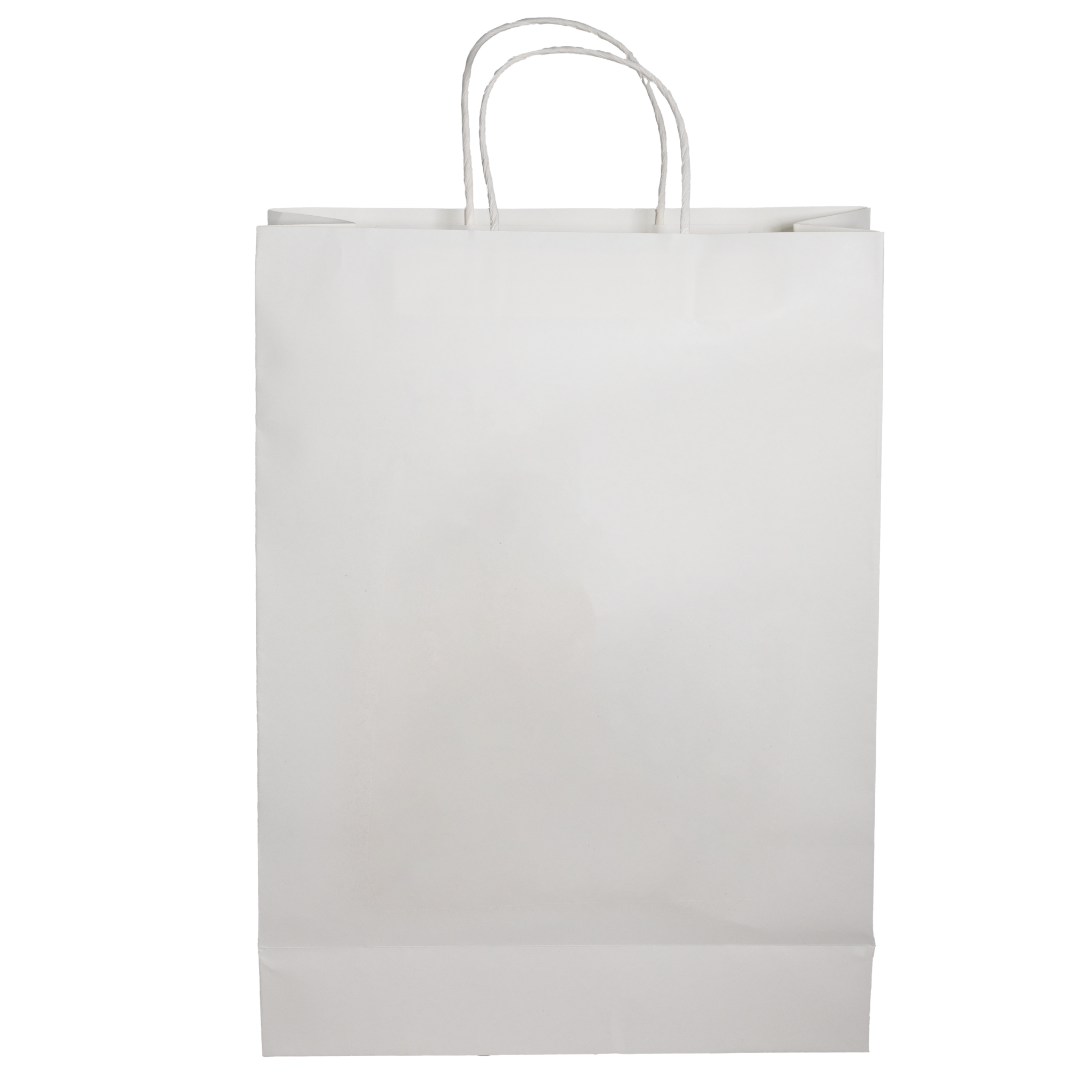 Paper Shopping Bag